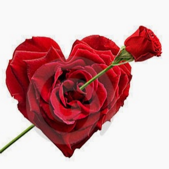 Meet your Posher, Kayla - Picture 1 of 1